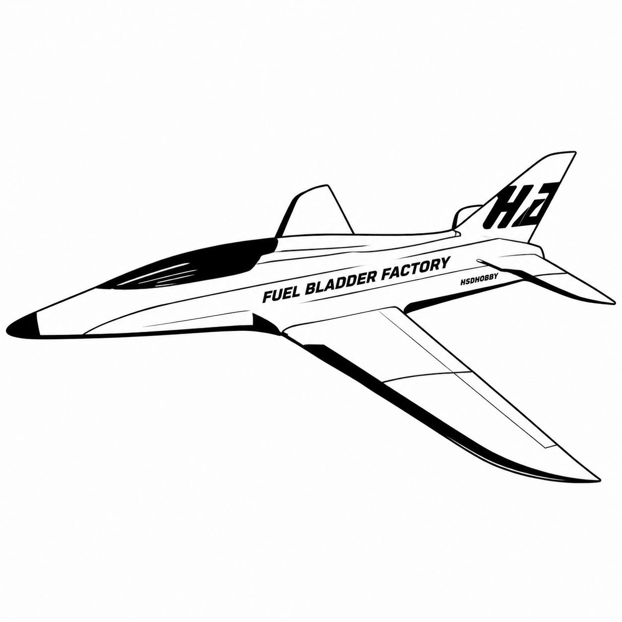 fin by aircraft